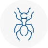 Ant Removals In Holmes Chapel