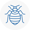 Bed Bug Extermination In Holmes Chapel