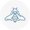 Bee Nest Removal Holmes Chapel