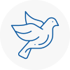 Bird Prevention Holmes Chapel