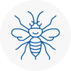 Holmes Chapel Hornet Nest Removals