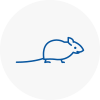 Mice Exterminators In Holmes Chapel