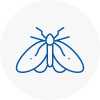 Moth Control Specialists In Holmes Chapel