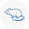 Rat Control Holmes Chapel