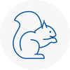 Holmes Chapel Rodent Removals